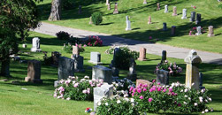 Simple Tribute Funeral and Cremation Center